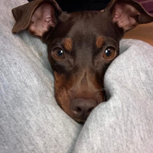 241806420_10158464000208527_167043778571174836_n