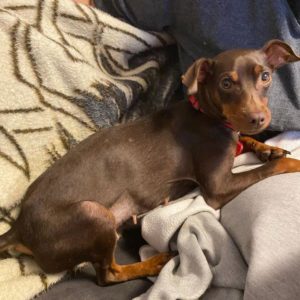 241812263_10158464000098527_7998351968886024855_n