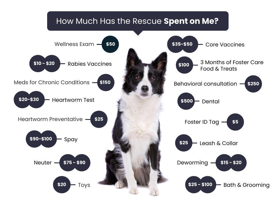 Adoption Fees Rogers' Rescues